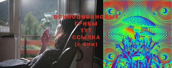 спиды Липки