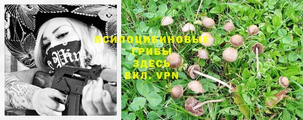 синтетический гашиш Лихославль