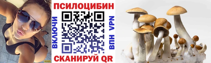 Галлюциногенные грибы GOLDEN TEACHER  Купить  Карабаново 